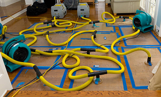 Professional Water Extraction technician working in Crystal City, TX